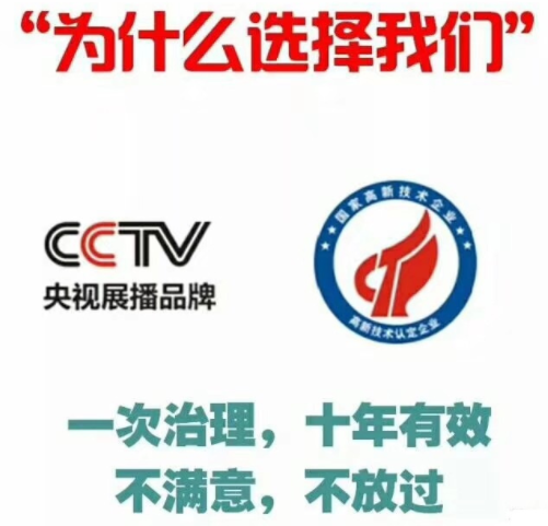 除甲醛公司如何選擇？