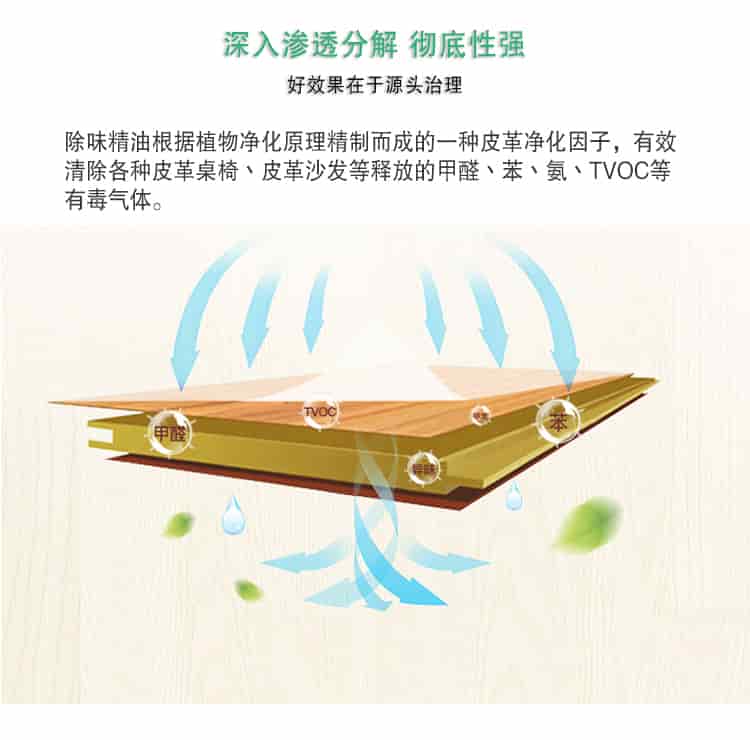 深入滲透分解 徹底性強，好效果在于源頭治理，除味精油根據(jù)植物凈化原理精制而成的一種皮革凈化因子，有效清除各種皮革桌椅丶皮革沙發(fā)等釋放的甲醛丶苯丶氨丶TVOC等 有毒氣體。