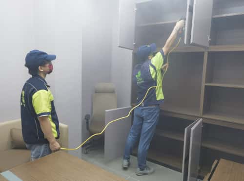 格瑞樂(lè)環(huán)保，搞邪了！”——一個(gè)武漢“歪果仁”的除醛初體驗(yàn)