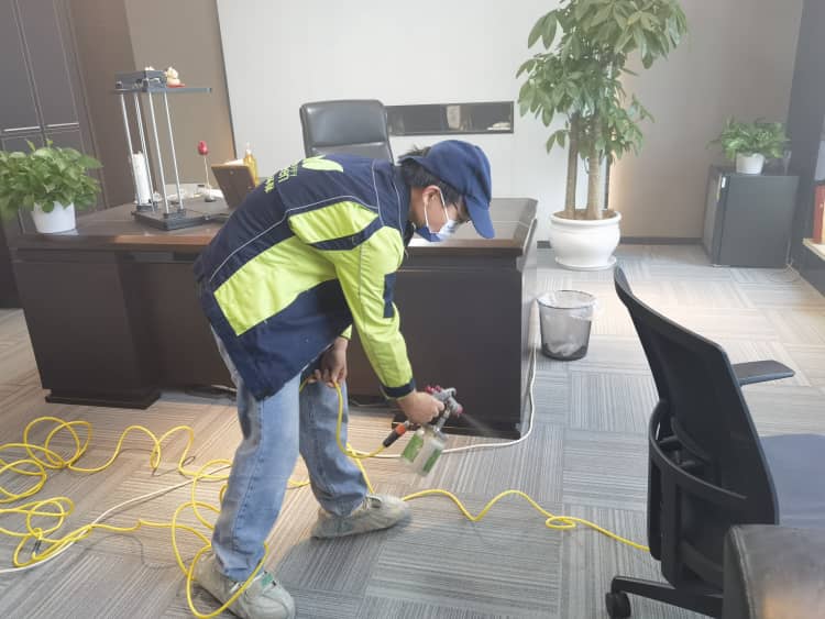 孫楊奪冠靠實(shí)力！武漢格瑞樂除醛亦如此